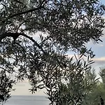 Semesterbostad Elia By The Sea Psakoudia