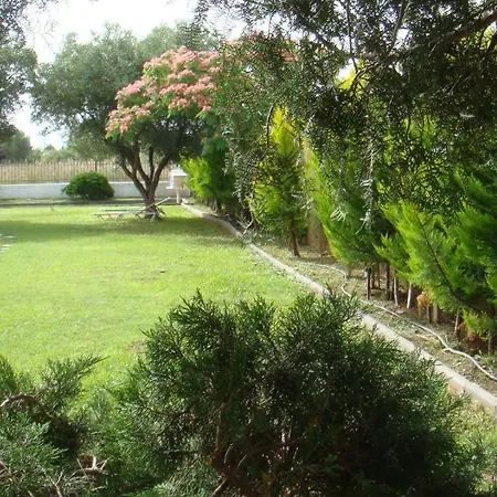 Elia By The Sea Psakoudia