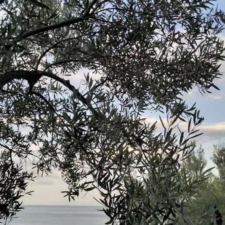 Feriehus Elia By The Sea Psakoudia