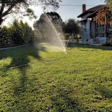 Elia By The Sea Psakoudia