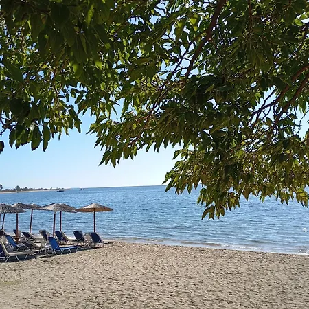 Elia By The Sea Psakoudia