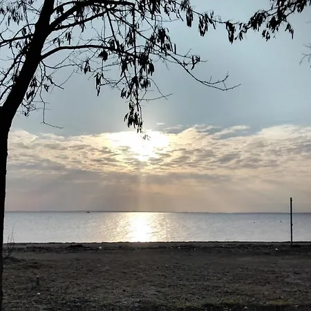 Elia By The Sea
