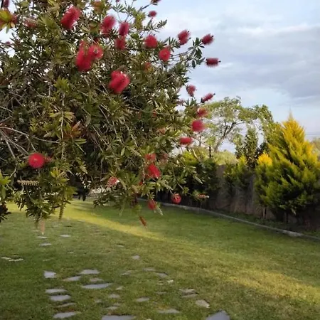 Nyaraló Elia By The Sea