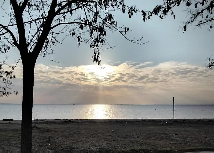 Elia By The Sea